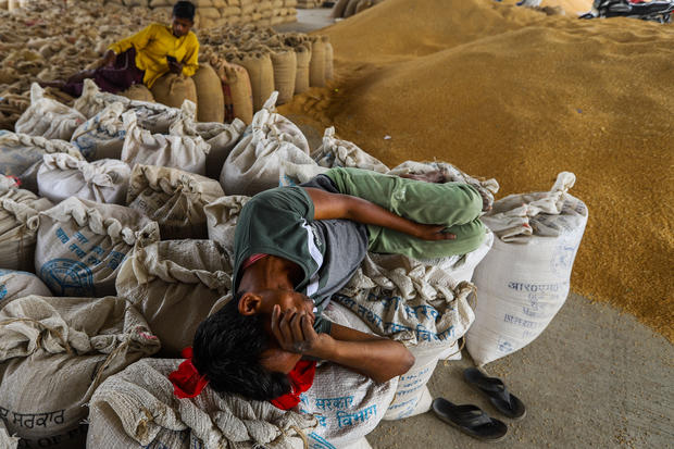 india-wheat-1240722720 އިންޑިއާގެ ފުށް ގުދަނެއްގައި މަސައްކަތްތެރިން ހަރަކާތްތެރިވަނީ (ފޮޓޯ: ސީބީއެސްނިއުސް