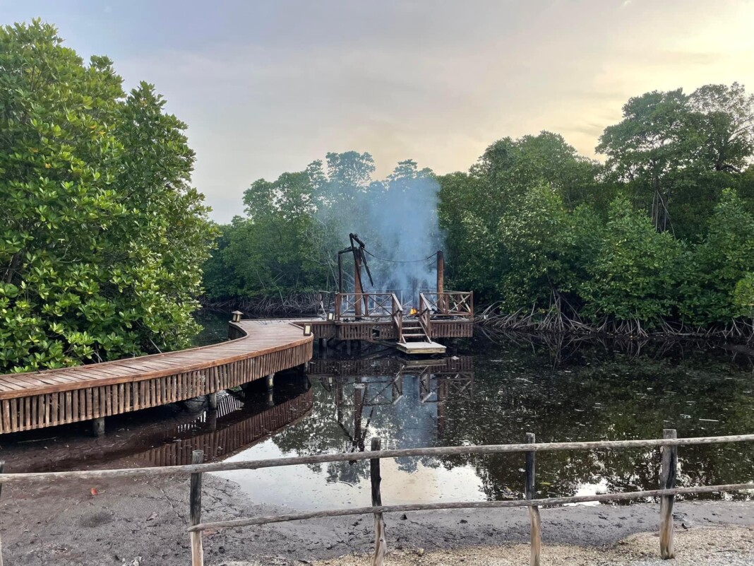 CAAC7BB6-C760-4085-B22E-54778AB6A5CD