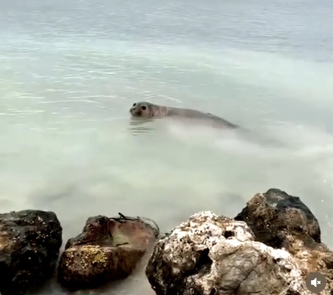 4D9CCAA3-54DD-4338-A141-D8309B7AC0DE