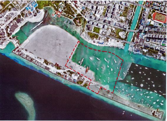 526291654_1223600609568274_7967464391720245750_n